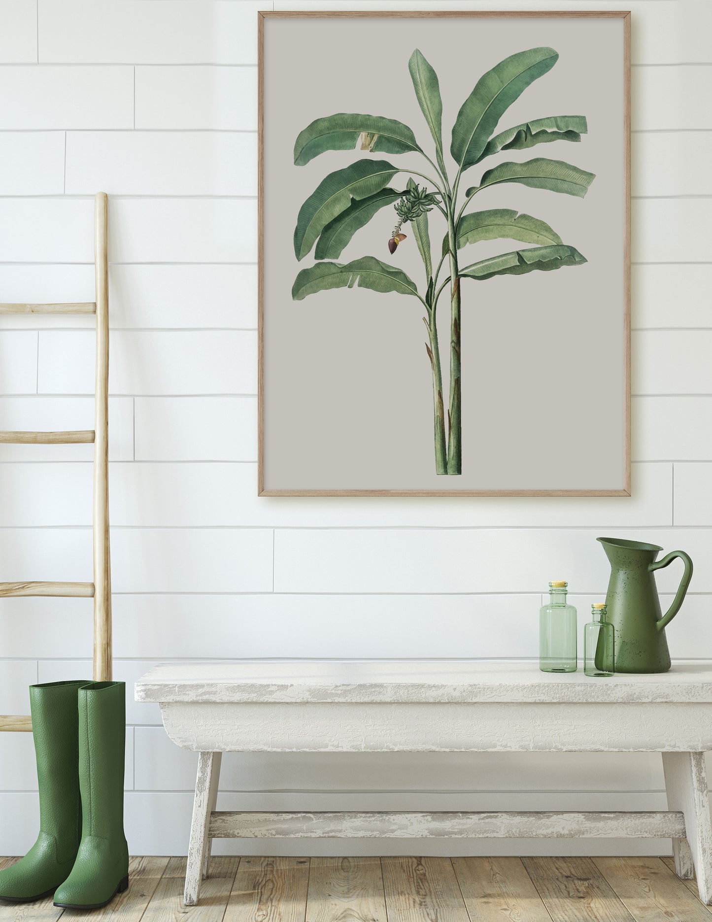 BANANA TREE III