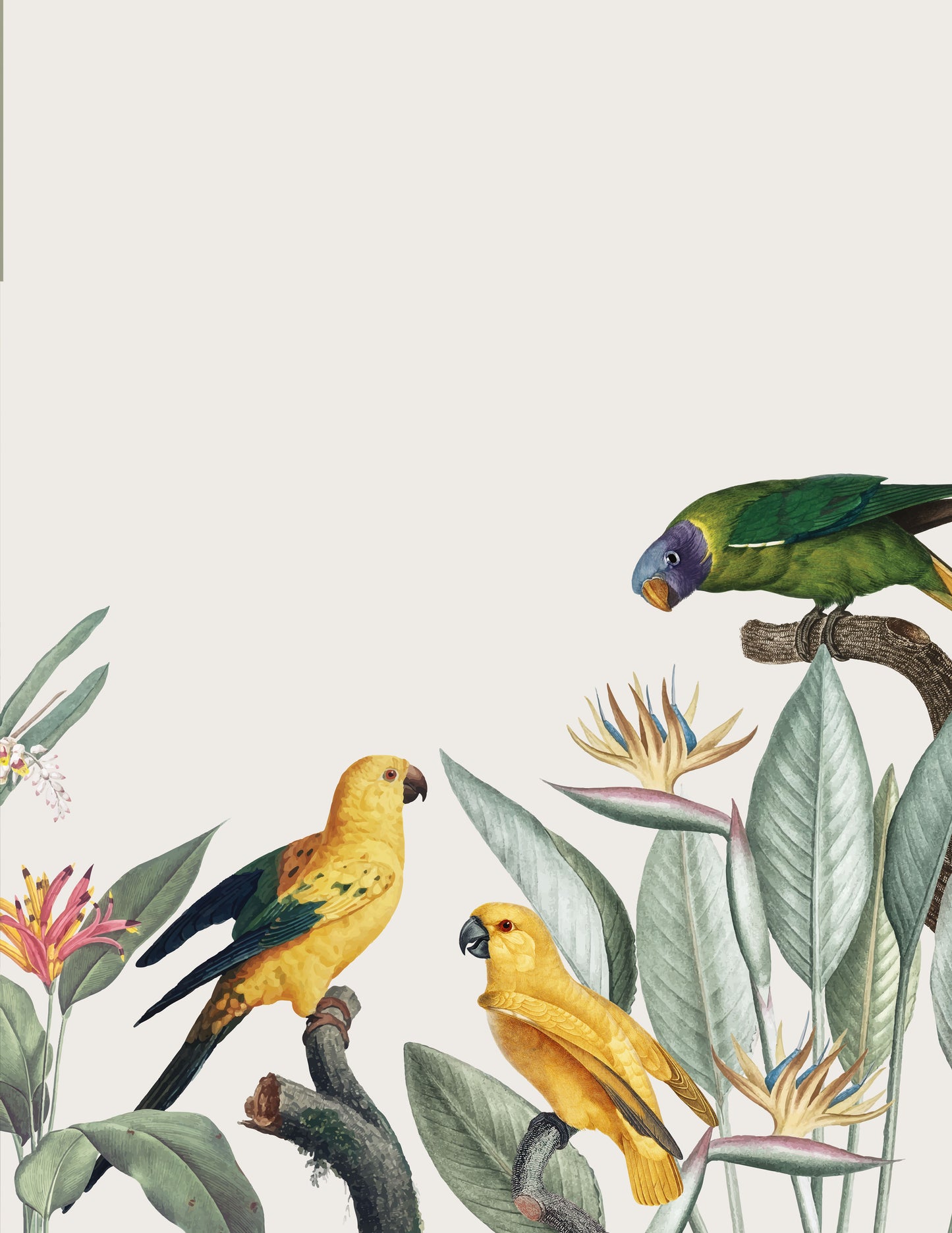 WINGED, YELLOW I