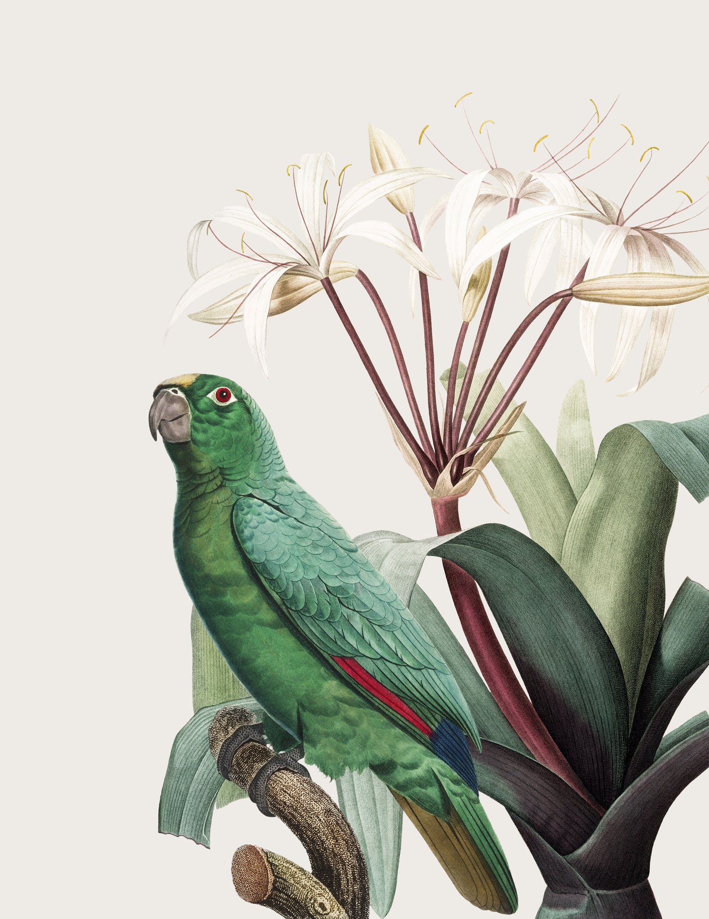 WINGED, GREEN I