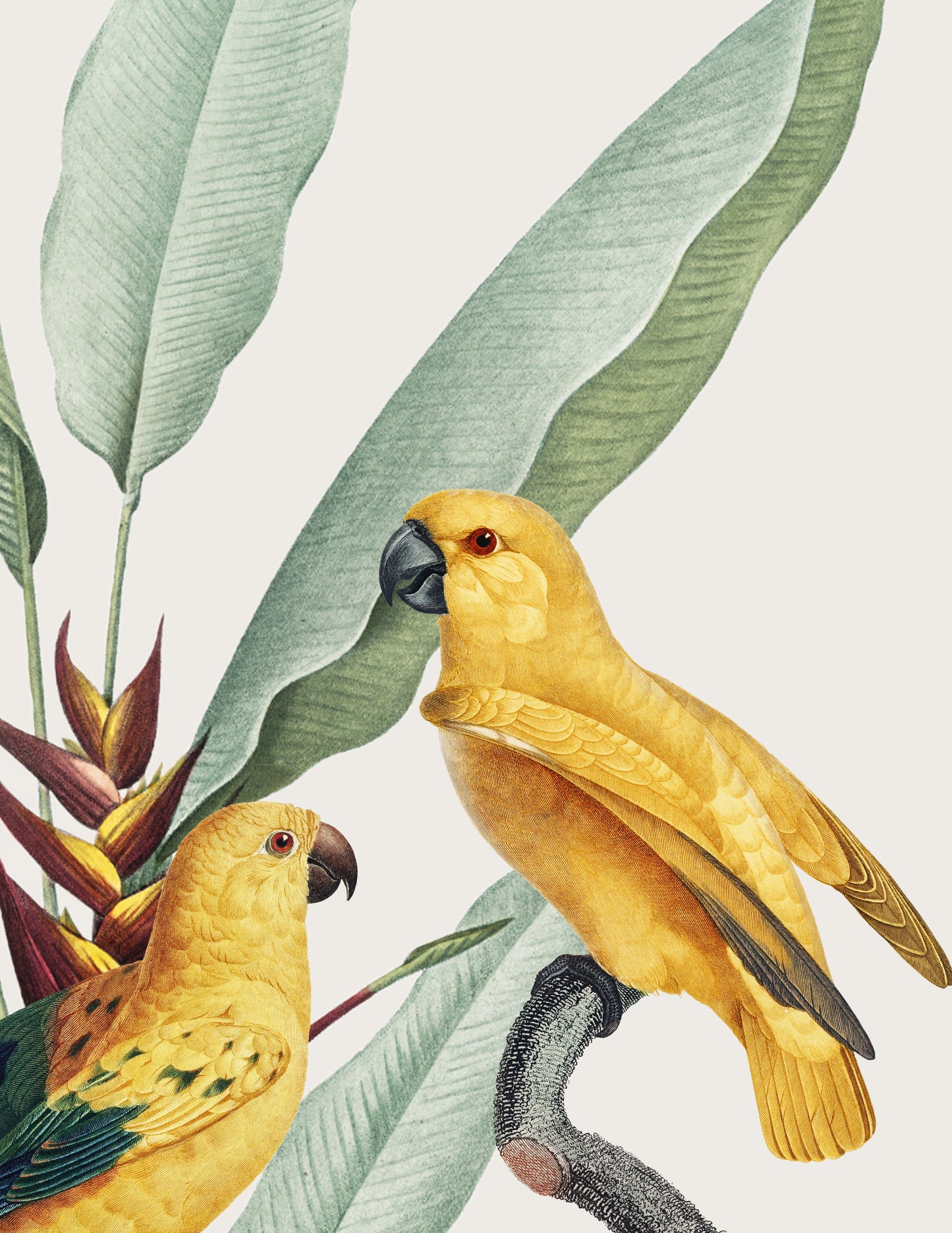 WINGED, YELLOW II