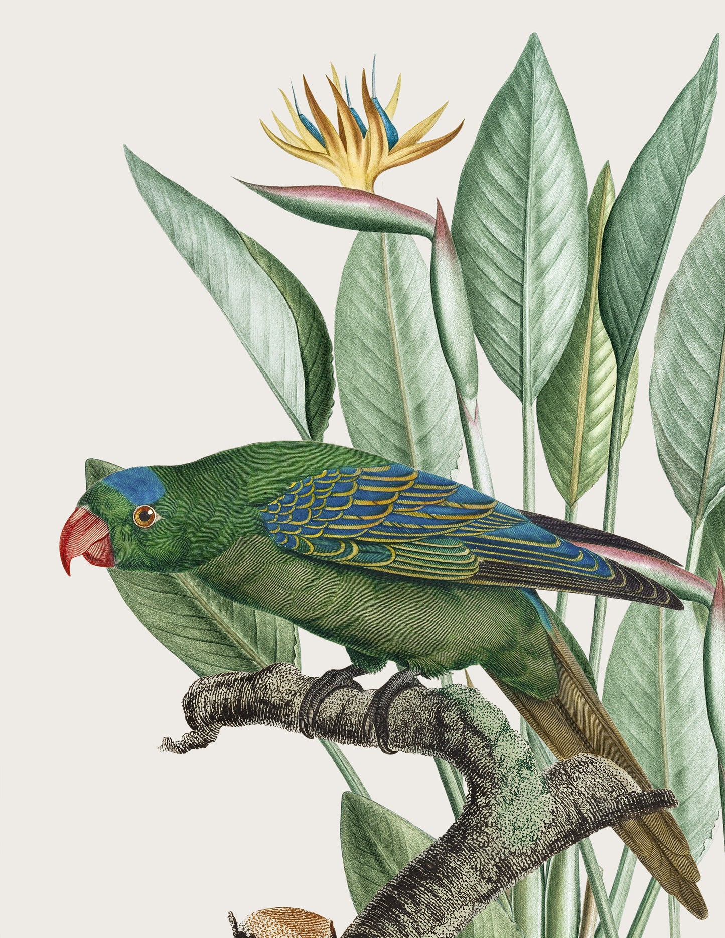 WINGED, GREEN II