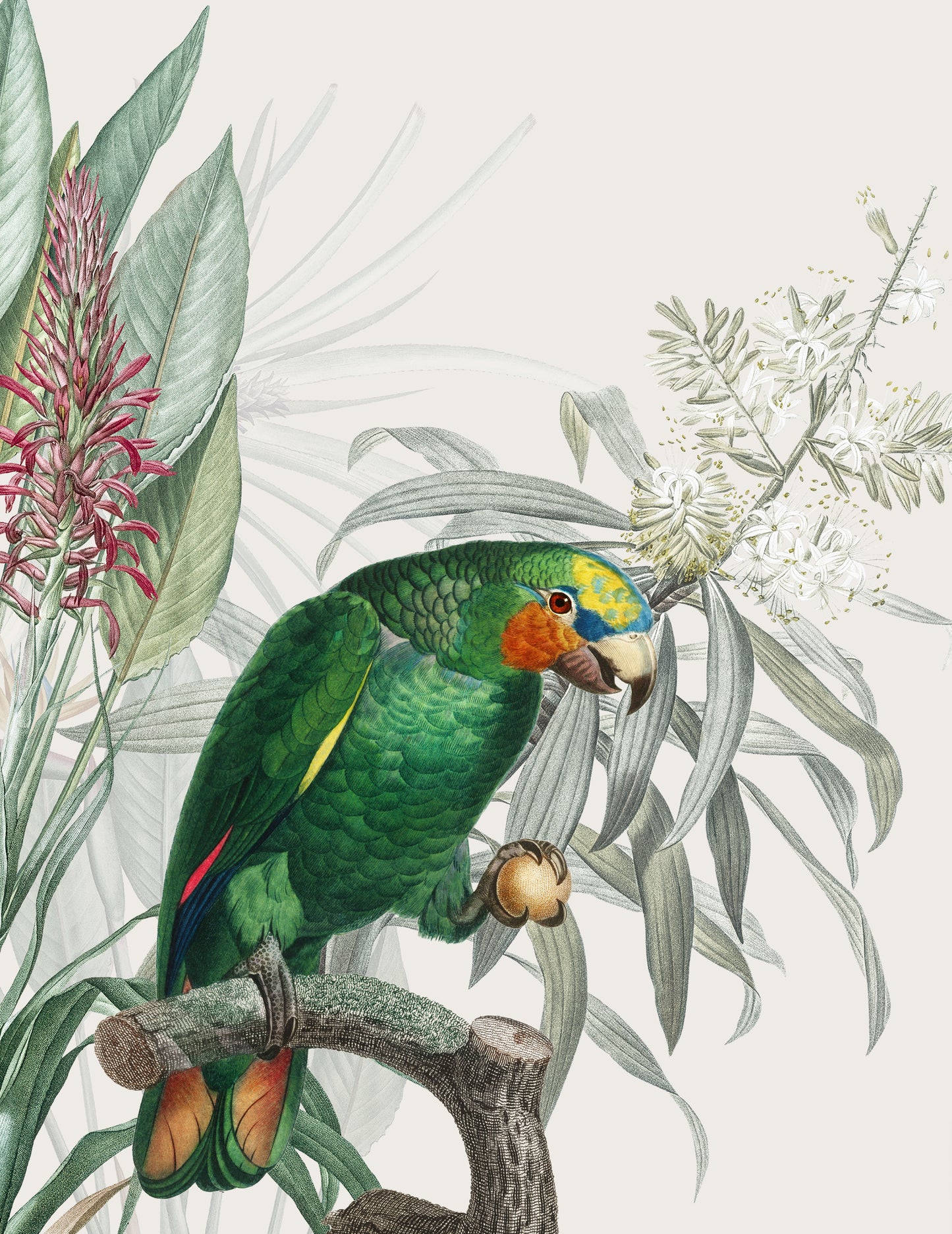 WINGED, GREEN III