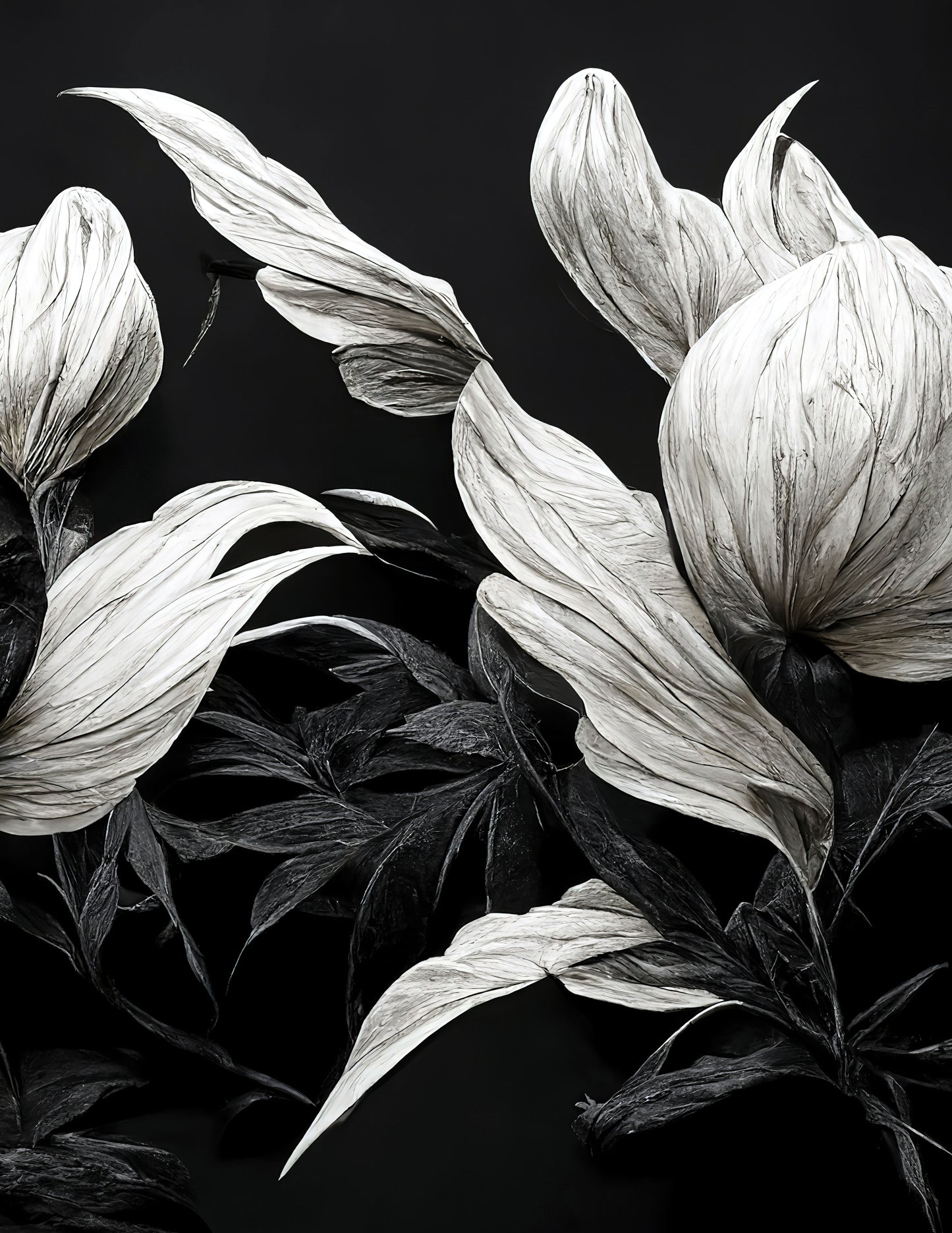 BLACK AND WHITE FLORAL II
