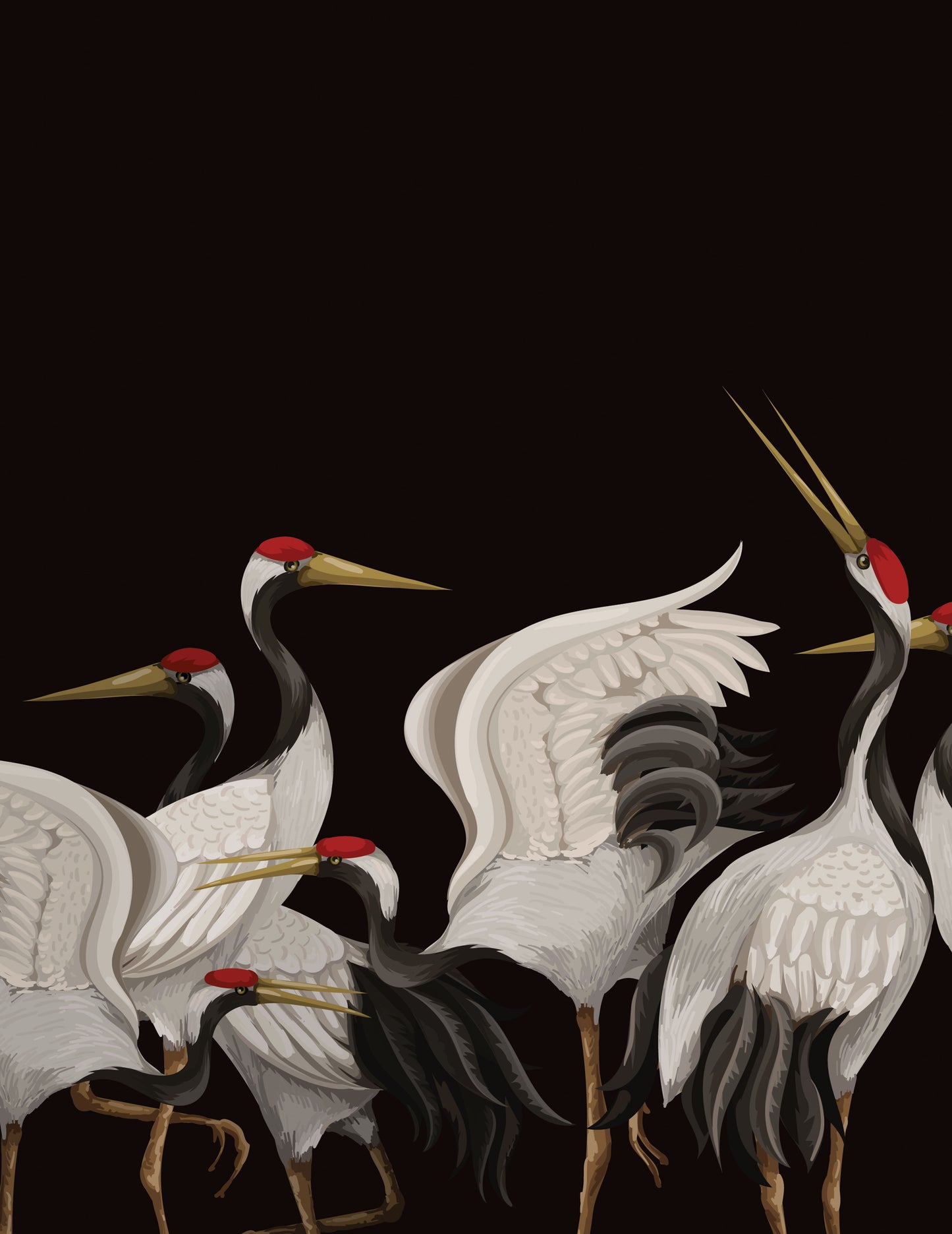 CRANES ON BLACK