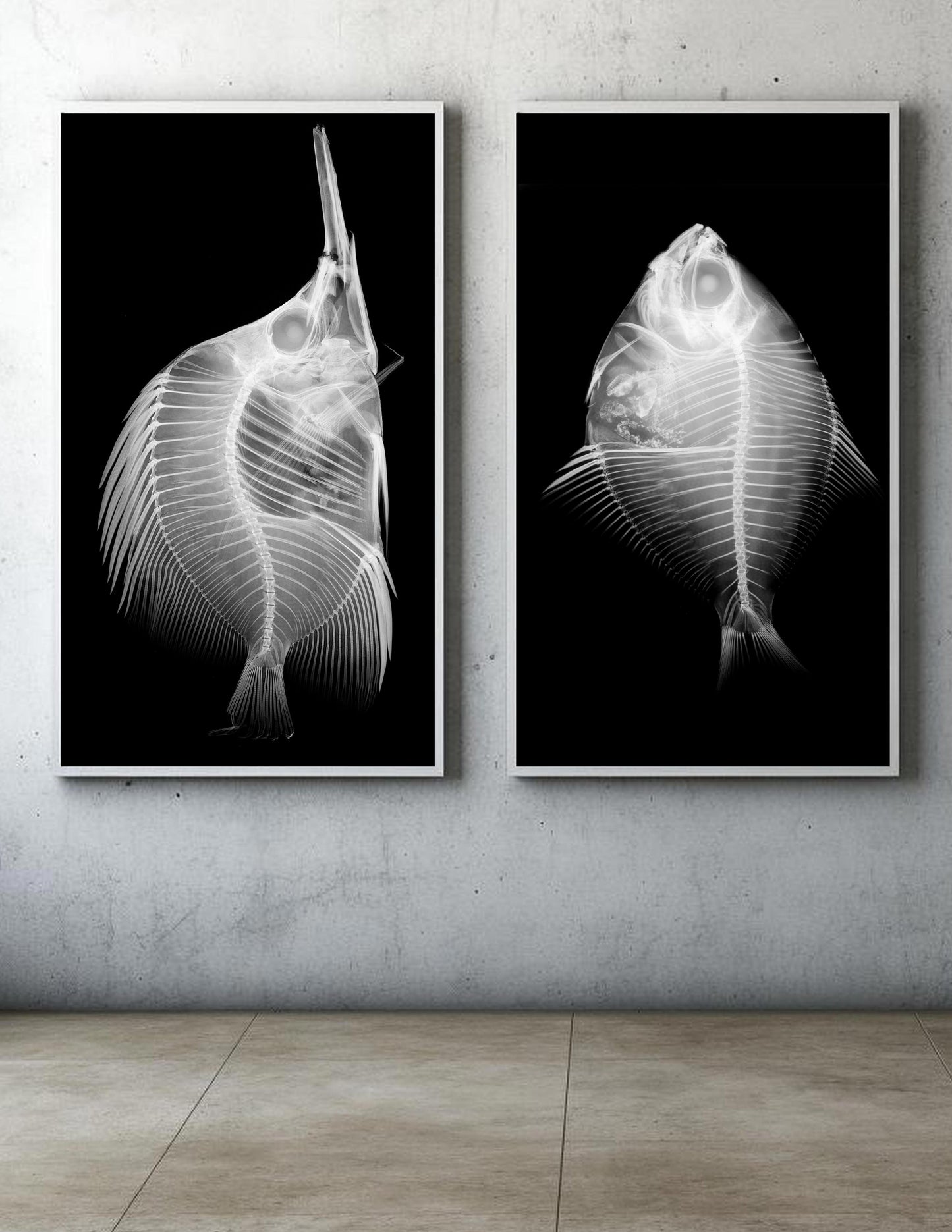 FISH X, SET OF 2