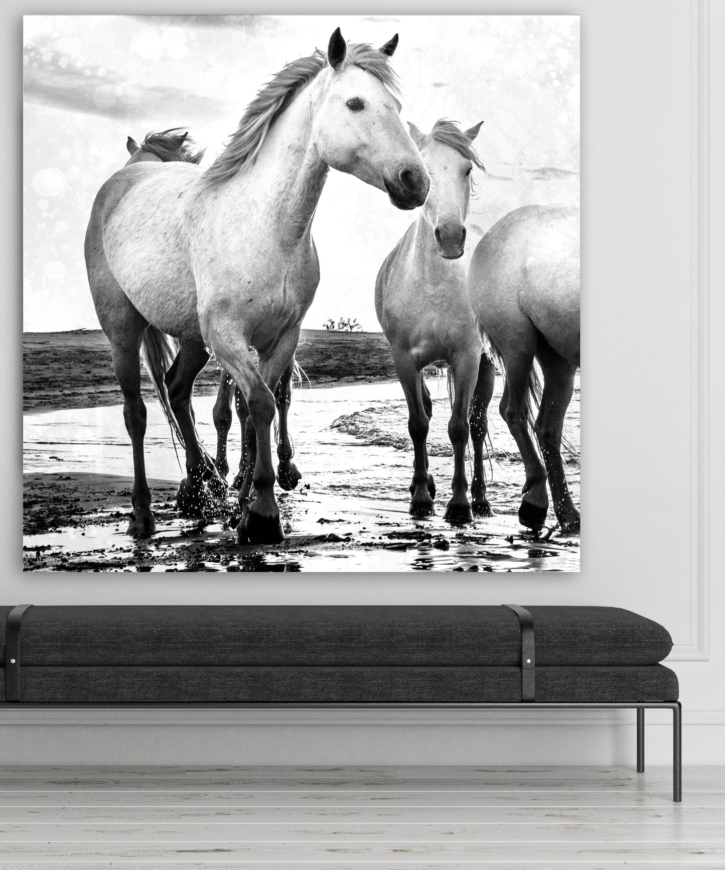 WILD HORSES