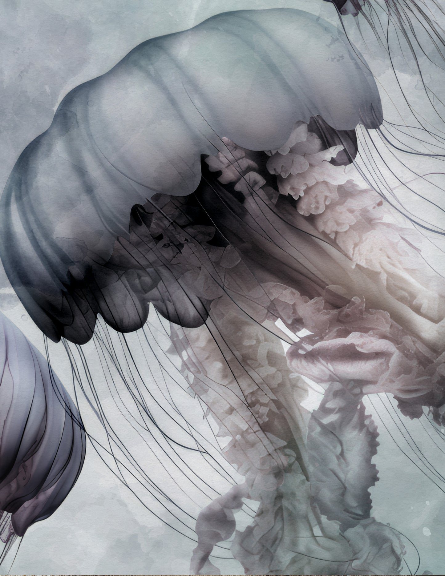 FLOATING LANDSCAPE I