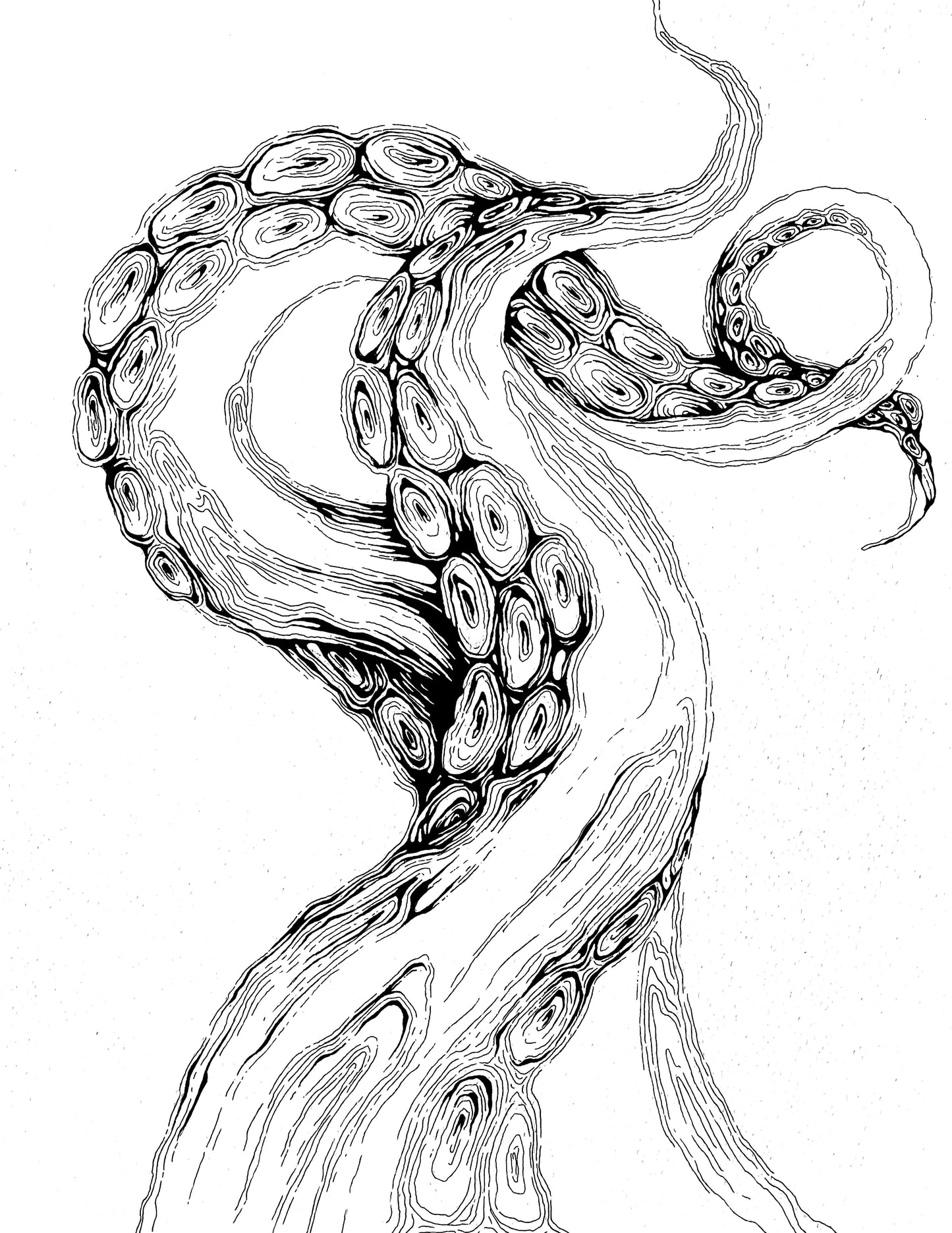 TENTACLES, IN LINE