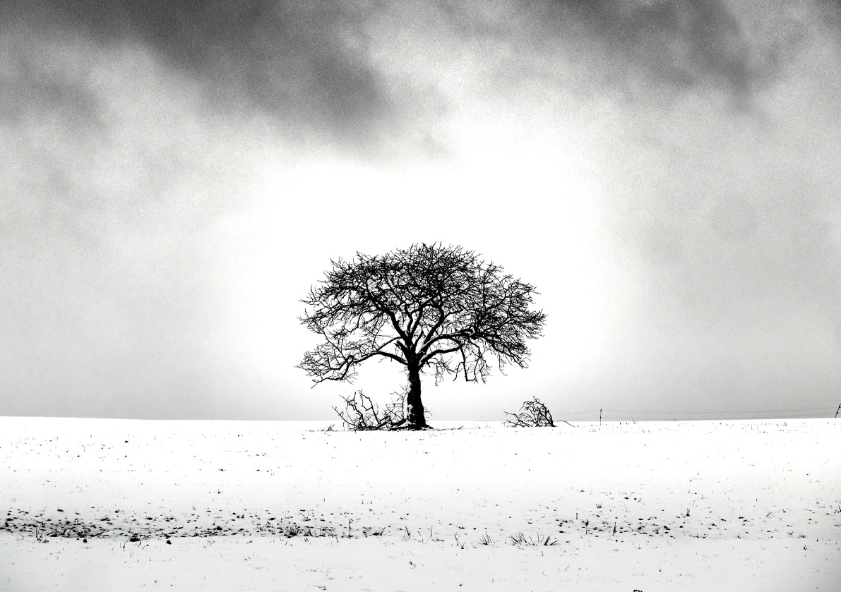 NATURE'S SIMPLICITY 1