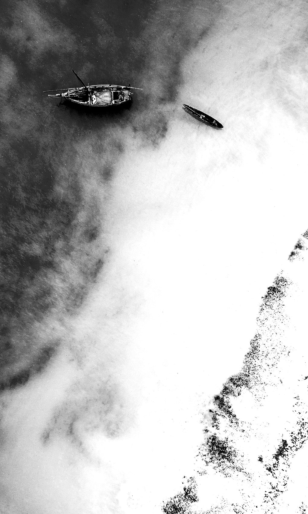 BIRDS VIEW