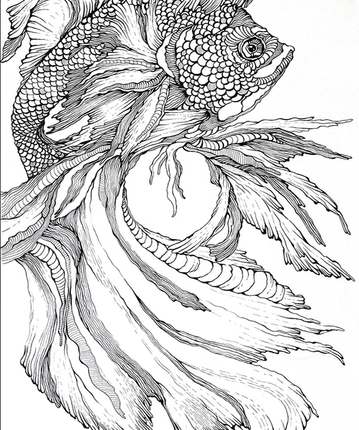 FISH LINE ART