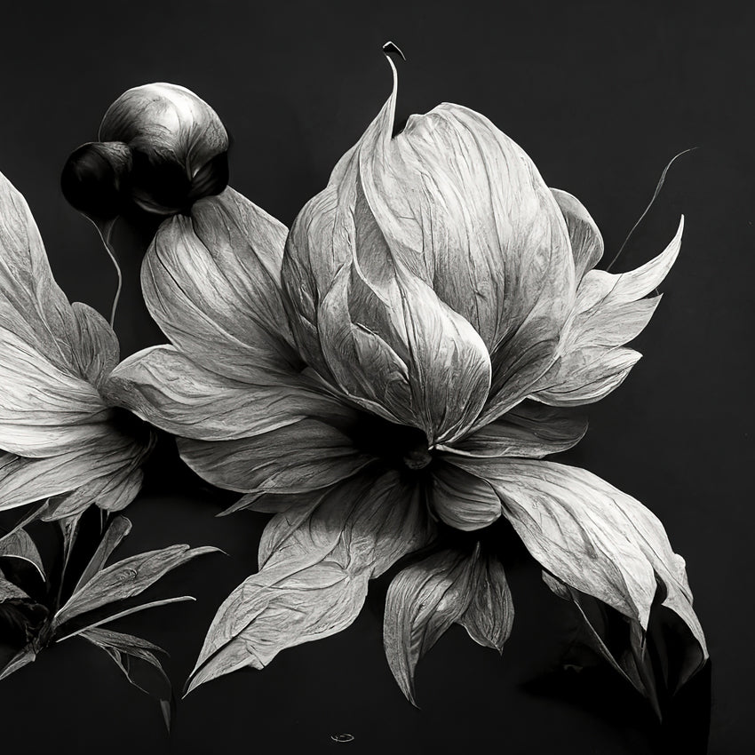 BLACK & WHITE DRAMATIC BOTANICAL MURAL