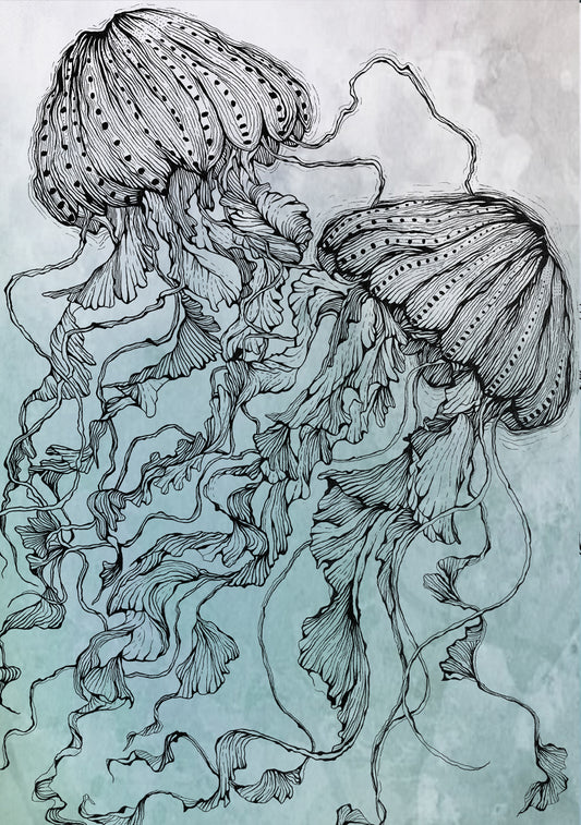 UNDERWATER LINE ART JELLIES