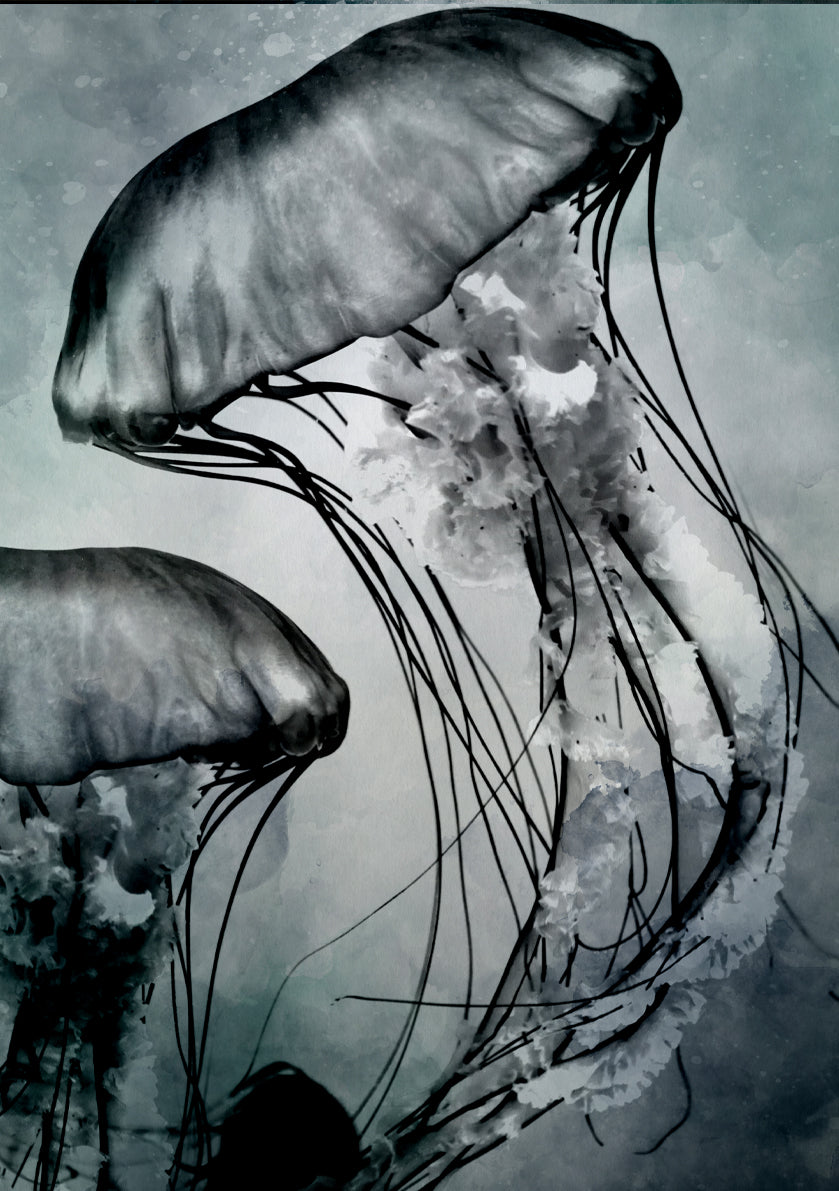 UNDERWATER DARK JELLIES