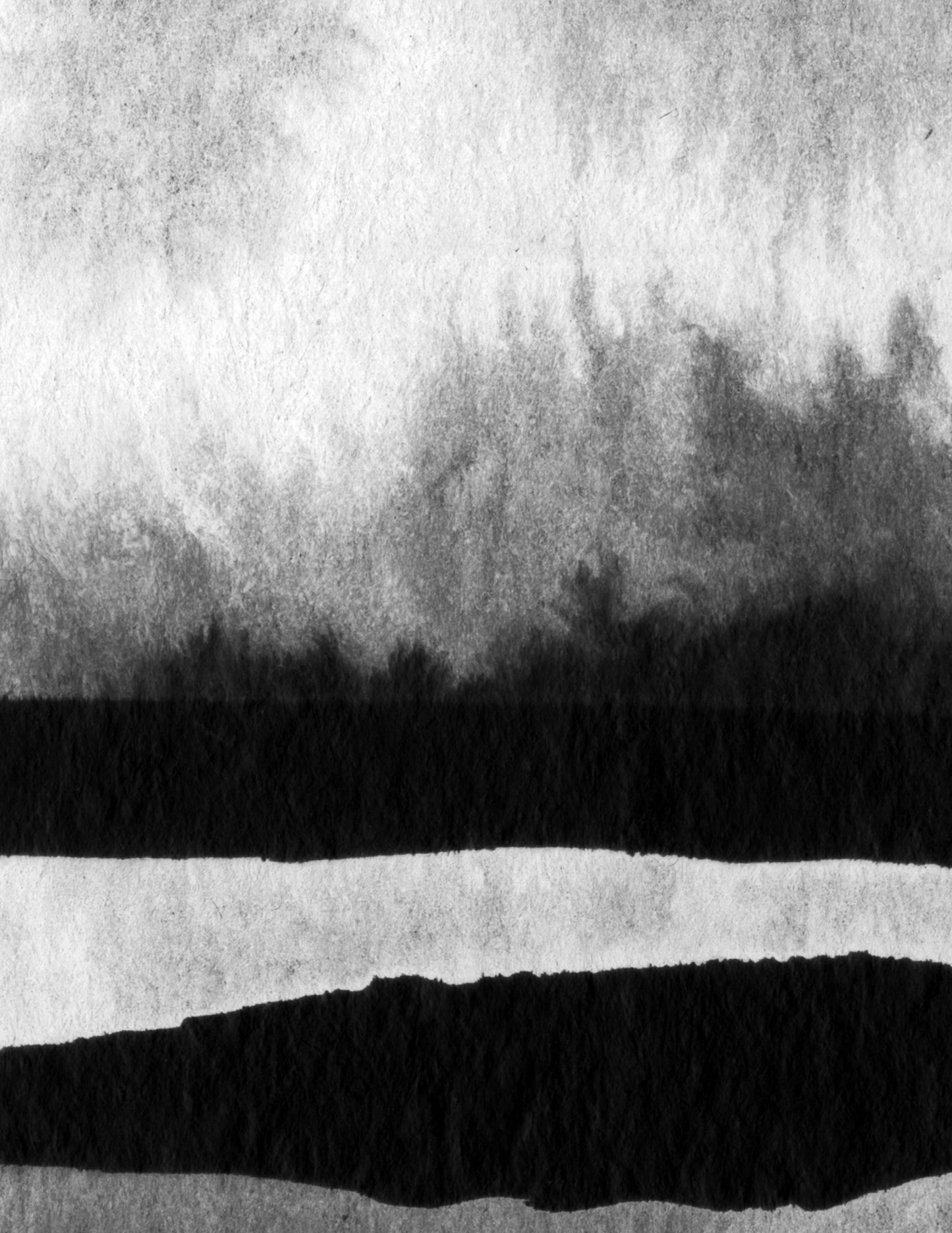 BLACK OMBRE LANDSCAPE I