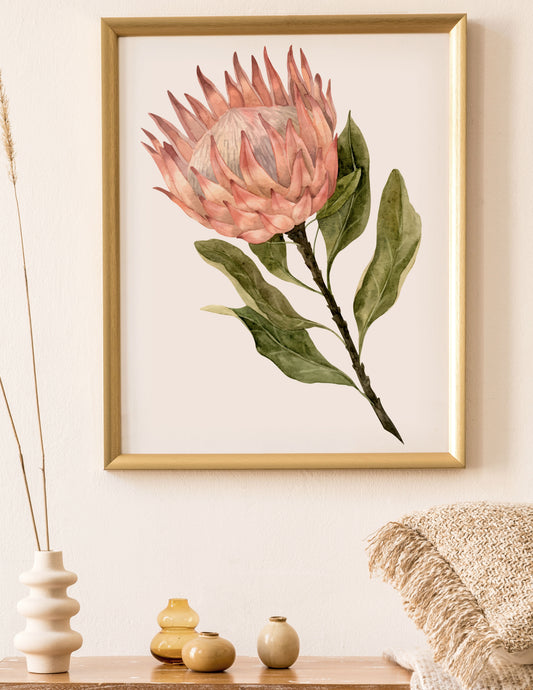 PROTEA, SINGLE II