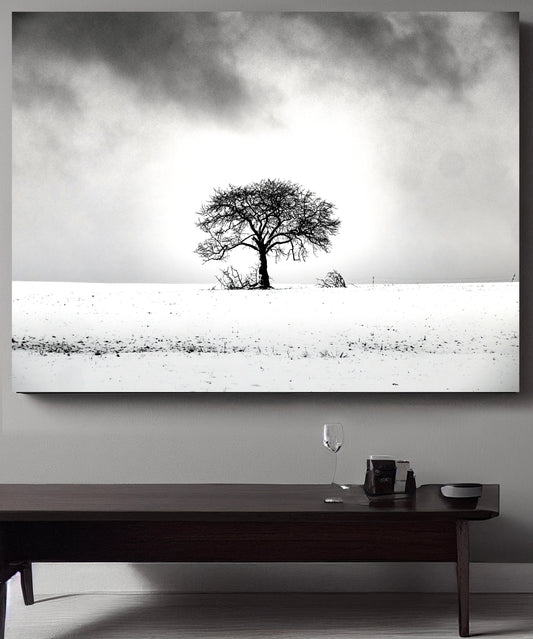 NATURE'S SIMPLICITY 1