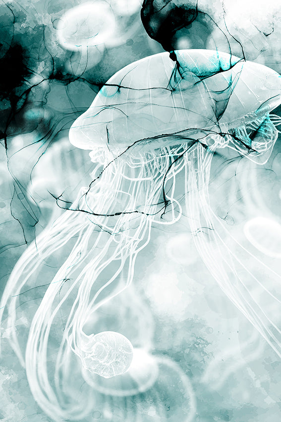 SURFACE