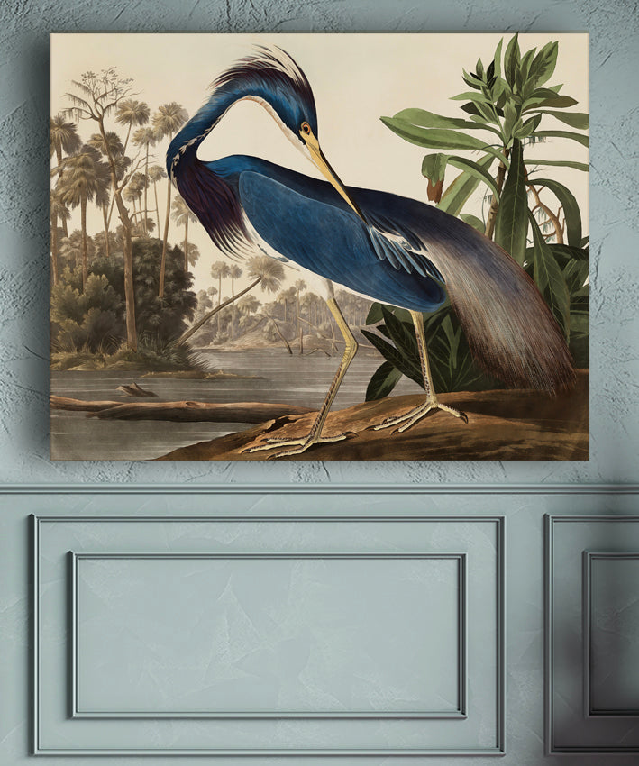 BLUE CRANE