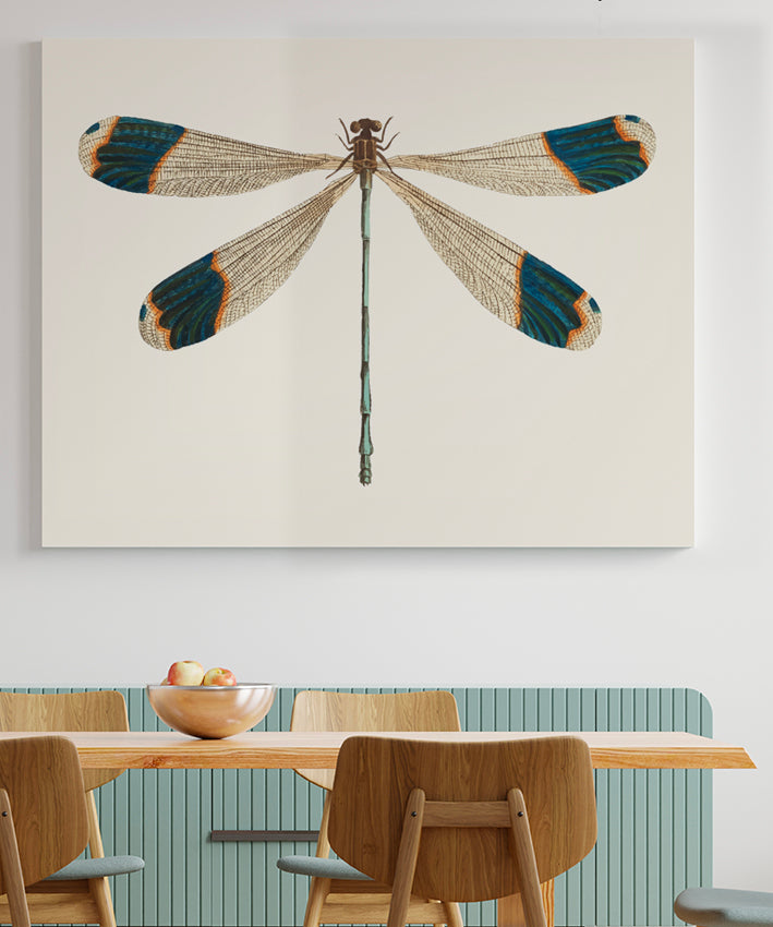 DRAGONFLY