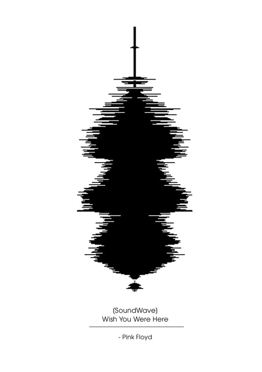 SOUNDWAVES - PINK FLOYD