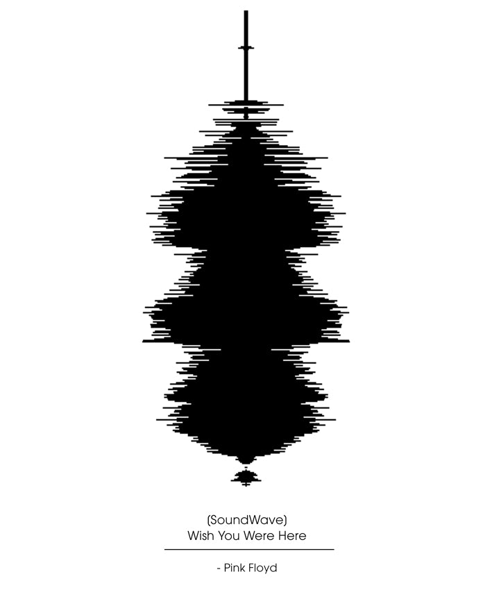 SOUND WAVE, PINK FLOYD