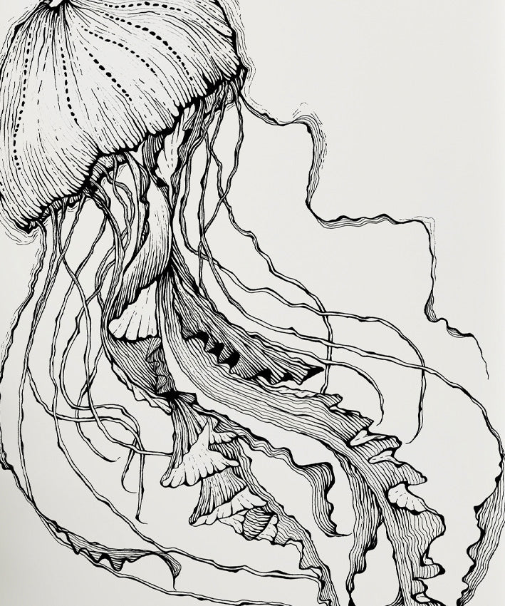 LINE ART JELLYFISH, SET OF 2