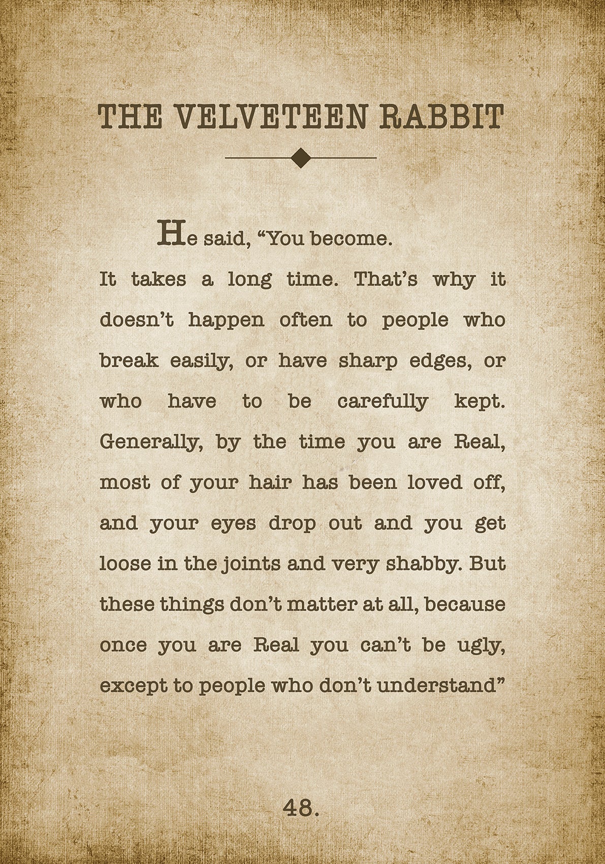 THE VELVETEEN RABBIT 1